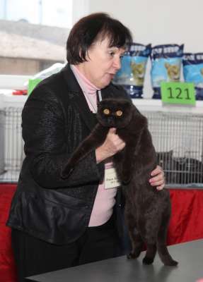 �������� ����� '������� ���-�����' 30 ������-1 ������� 2013., WCF-����� 2533